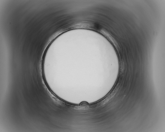 X0000115111434200911241318
