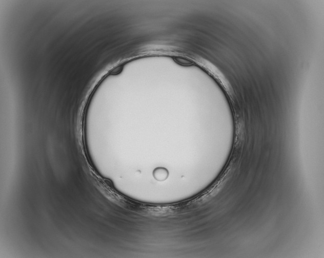 X0000115111435200911241318