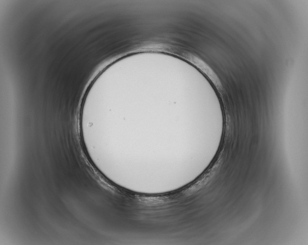X0000115111436200911241318