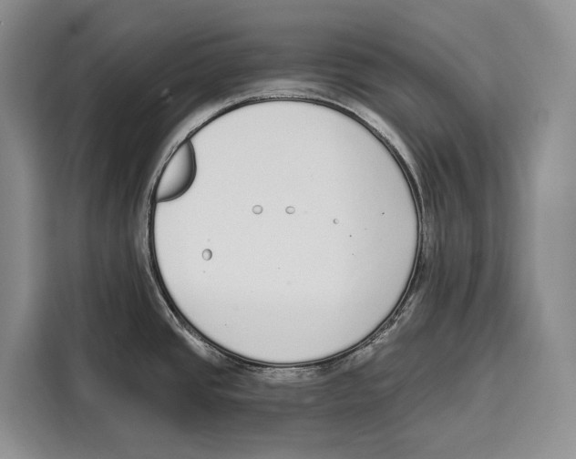 X0000115111437200911241318