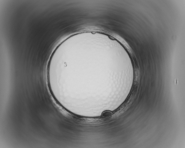 X0000115111439200911241318