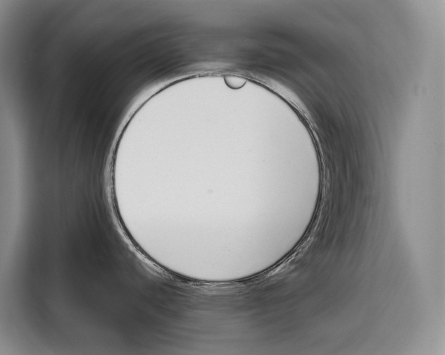 X0000115111440200911241318