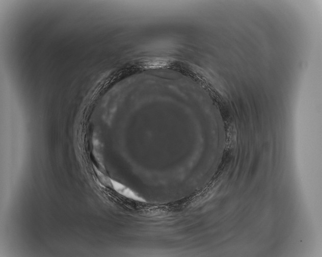 X0000115111441200911241318