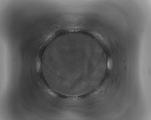 X0000115111444200911241318