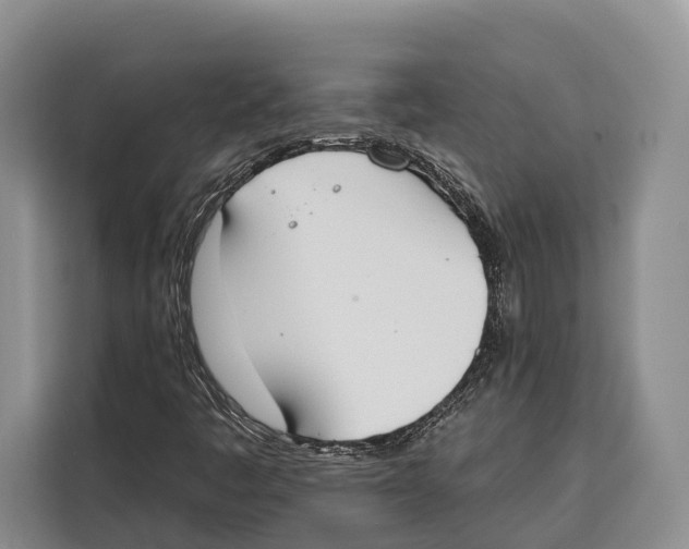 X0000115111445200911241318