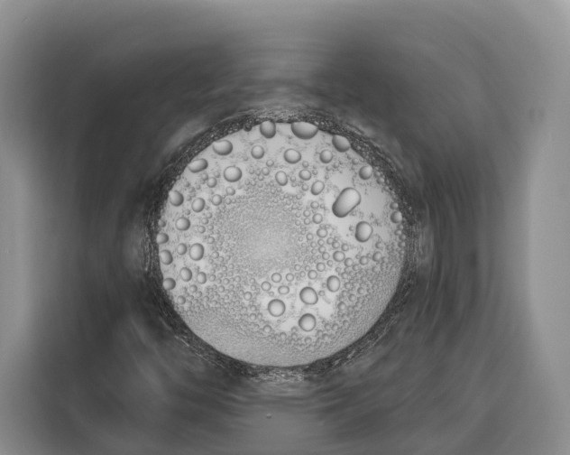 X0000115111446200911241318