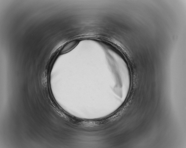 X0000115111450200911241317