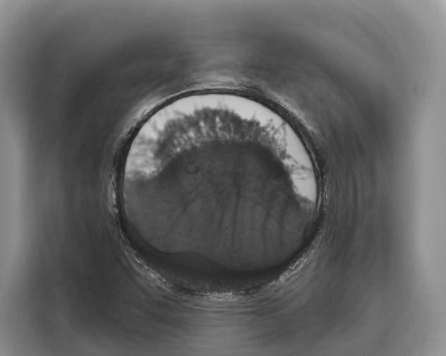 X0000115111455200911241317