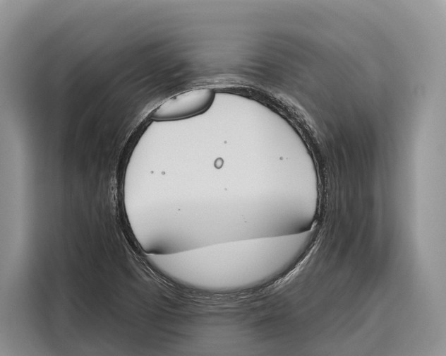 X0000115111457200911241317