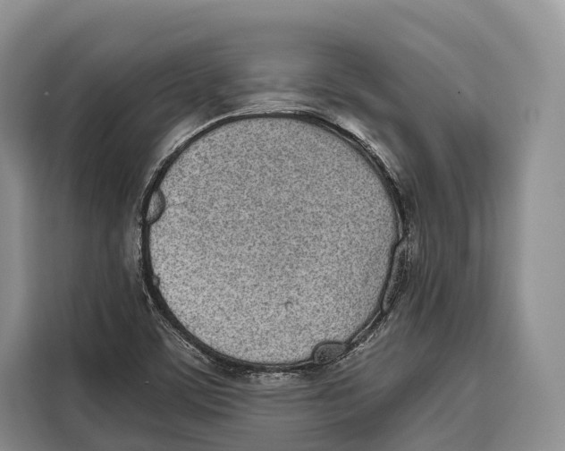 X0000115111459200911241317