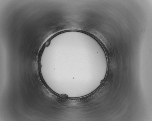 X0000115111460200911241317