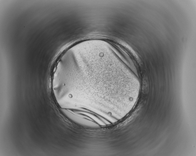 X0000115111461200911241317