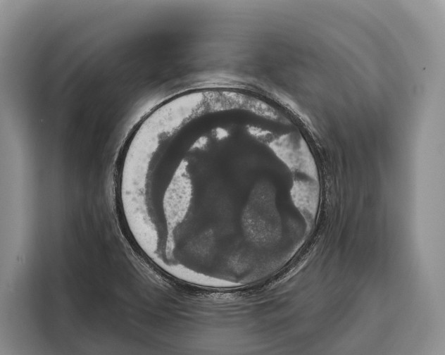 X0000115111463200911241317