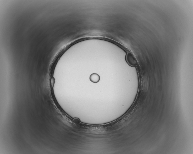X0000115111464200911241317