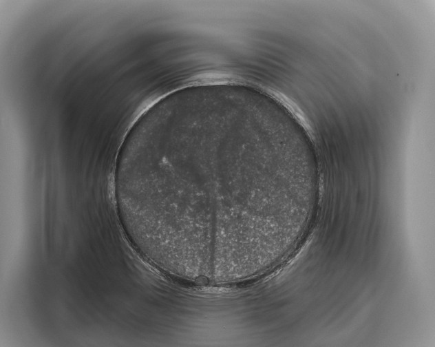 X0000115111465200911241317