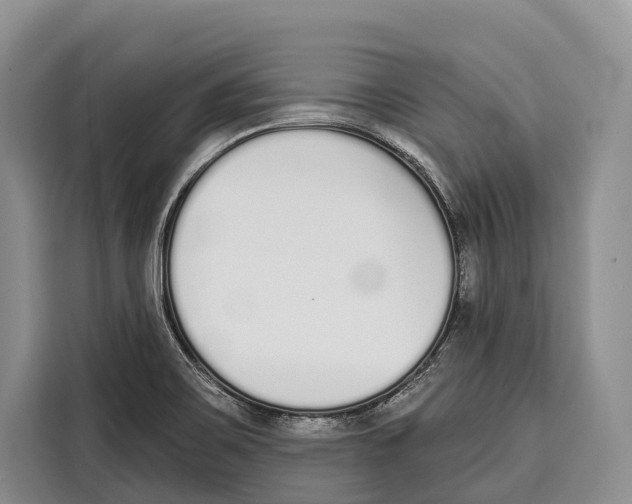 X0000115111467200911241317
