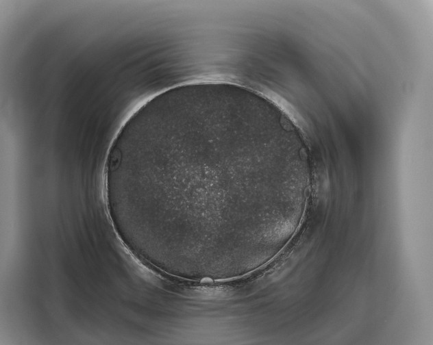 X0000115111468200911241317