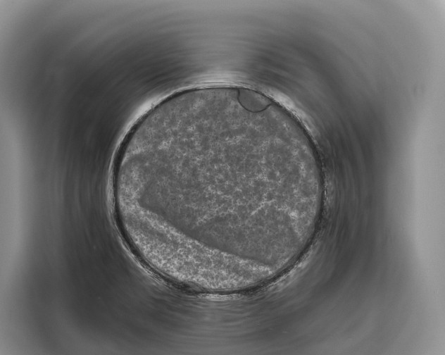 X0000115111469200911241317
