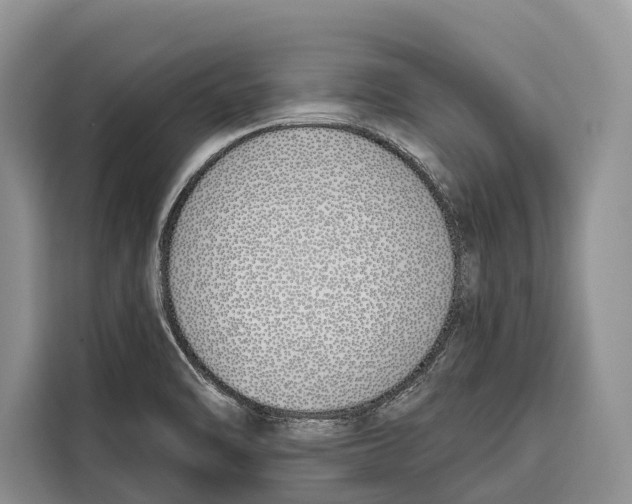 X0000115111470200911241317