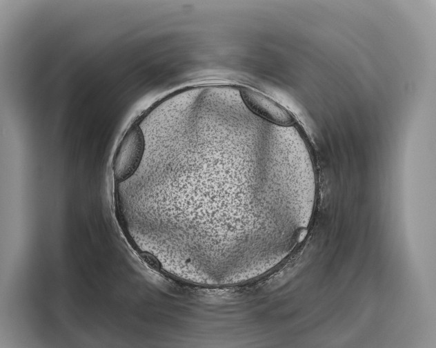 X0000115111472200911241317