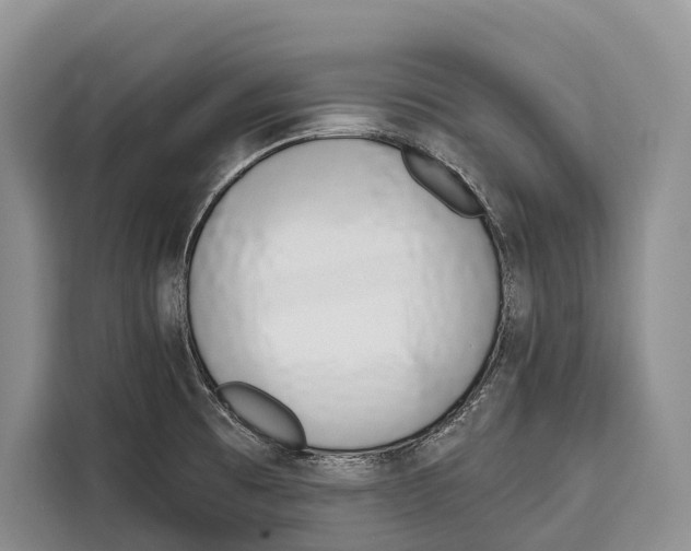 X0000115111473200911241317