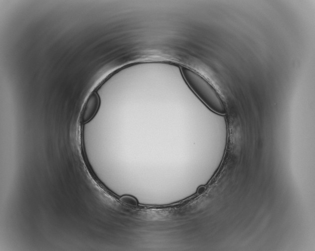 X0000115111476200911241317