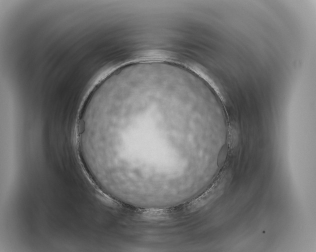 X0000115111477200911241317