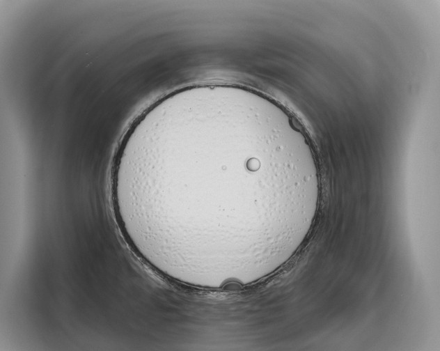 X0000115111480200911241317
