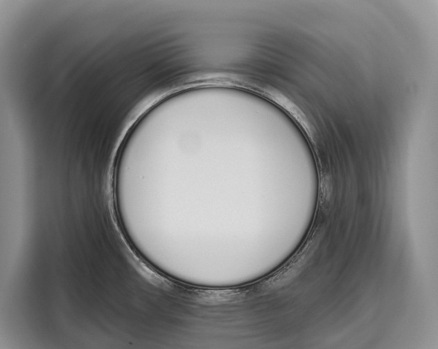 X0000115111482200911241317