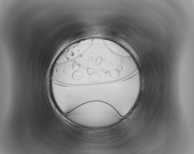 X0000115111483200911241317