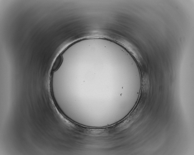 X0000115111484200911241317