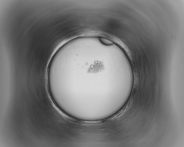 X0000115111487200911241317