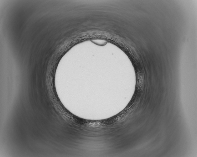X0000115111489200911241316