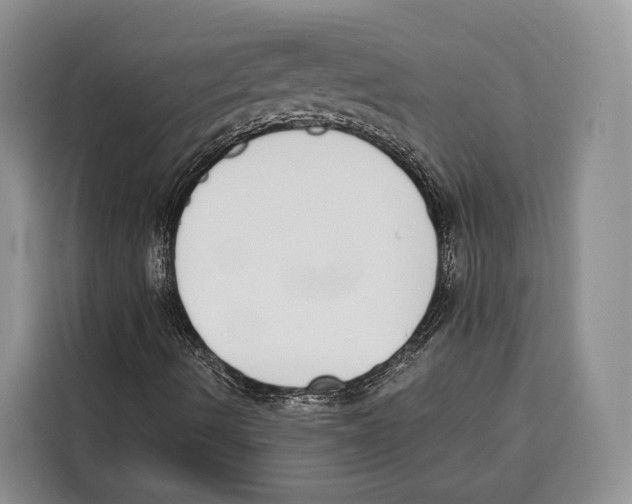 X0000115111490200911241316