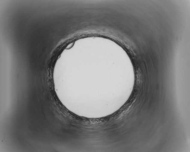 X0000115111494200911241316