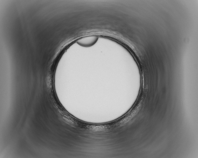 X0000115111501200911241316