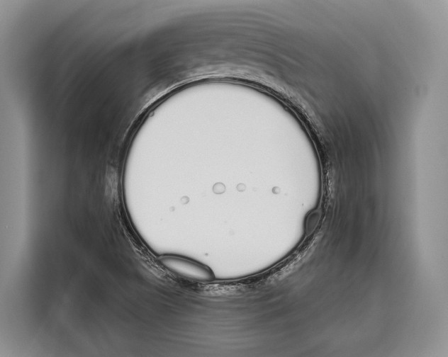 X0000115111505200911241316
