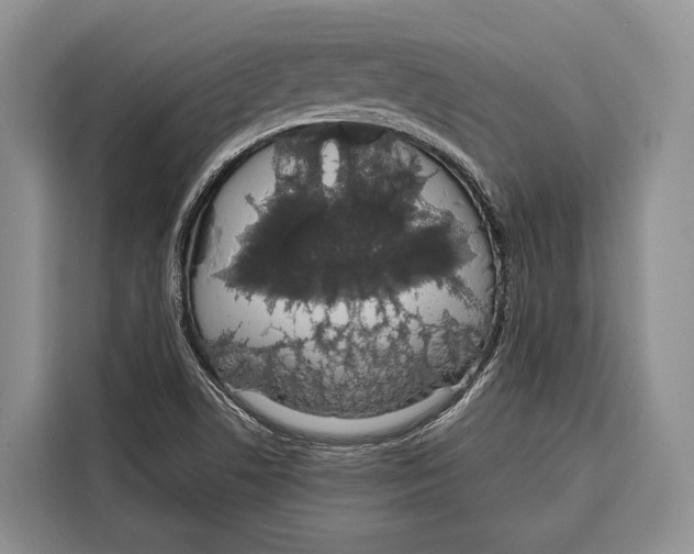 X0000115111506200911241316