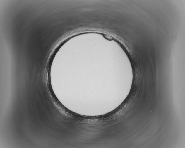 X0000115111511200911241316