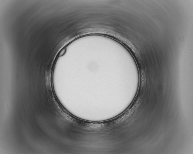 X0000115111513200911241316