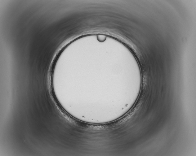 X0000115111517200911241317