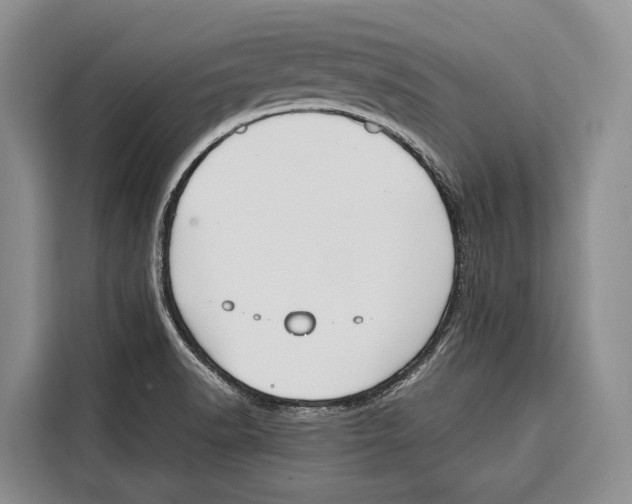 X0000115111518200911241317