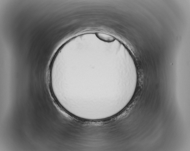 X0000115111519200911241317