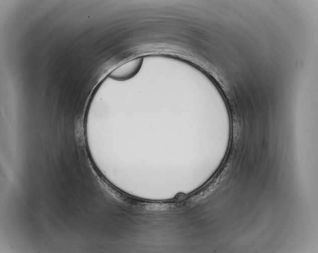 X0000115111521200911241317