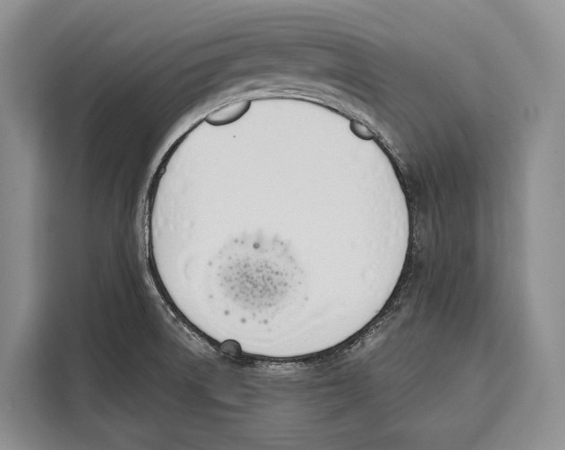 X0000115111522200911241317