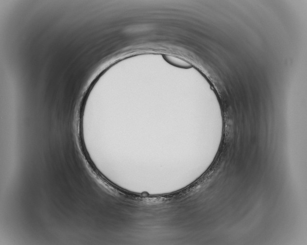 X0000115111523200911241317