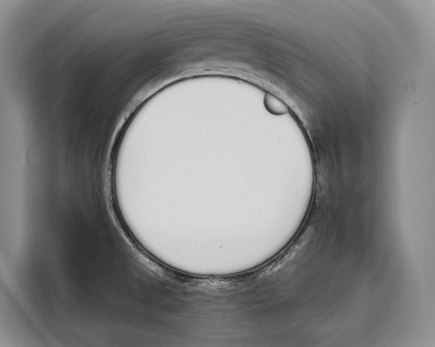 X0000115111525200911241317