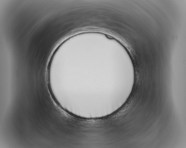 X0000115111527200911241317