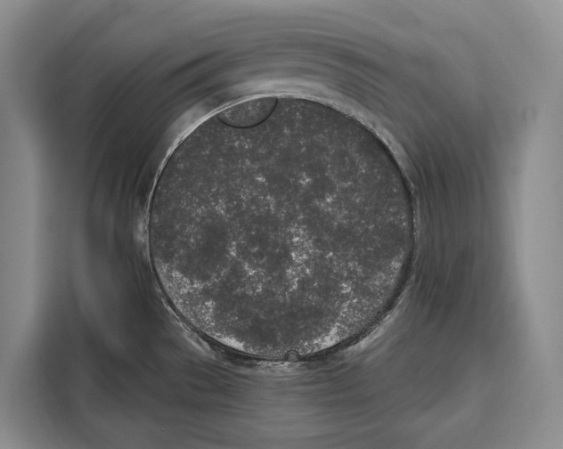 X0000115111529200911241317