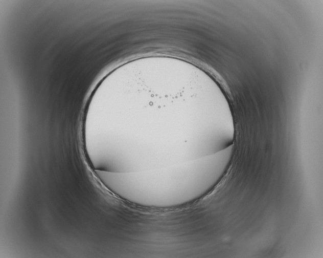 X0000115111530200911241317